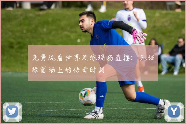 免费观看世界足球现场直播：见证绿茵场上的传奇时刻
