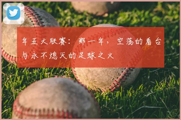 年五大联赛：那一年，空荡的看台与永不熄灭的足球之火