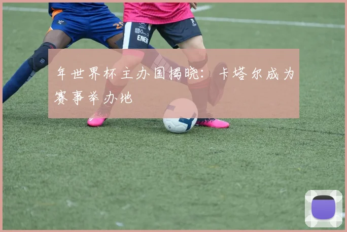 年世界杯主办国揭晓：卡塔尔成为赛事举办地
